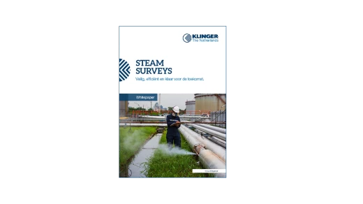 voorzijde whitepaper steam surveys tbv download