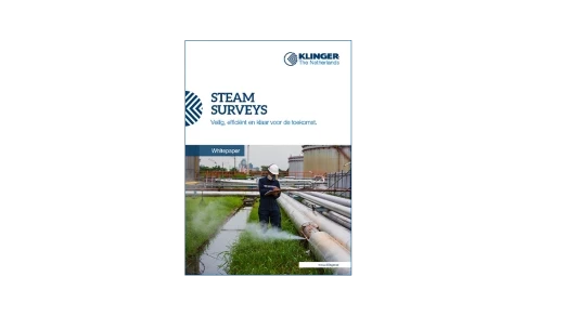 voorzijde whitepaper steam surveys tbv download 61dd6webp 520x292